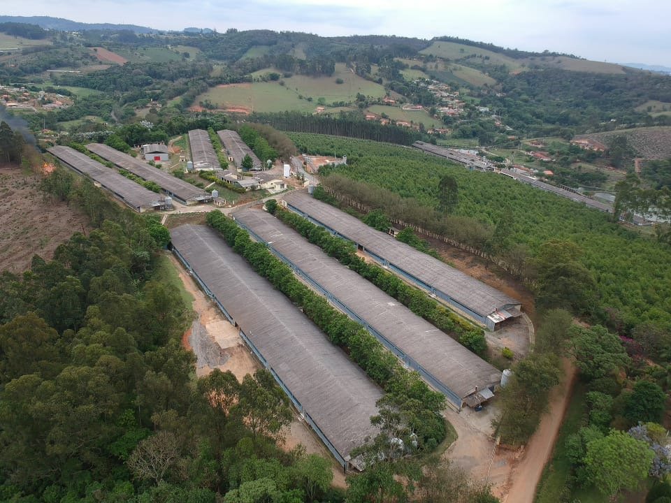 Fazenda/sítio/chácara/haras à venda  no Boa Vista dos Silva - Bragança Paulista, SP. Imóveis